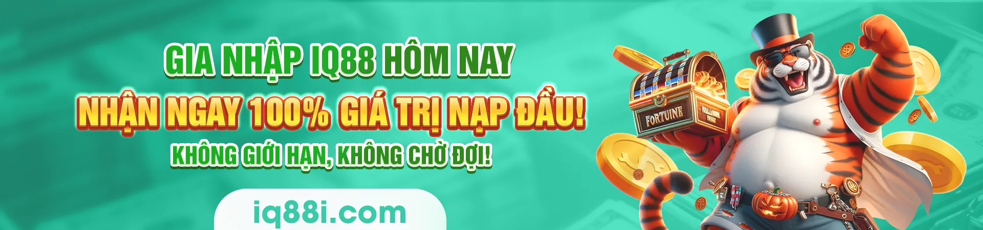 banner2-iq88i