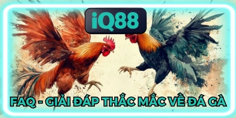 Đá gà