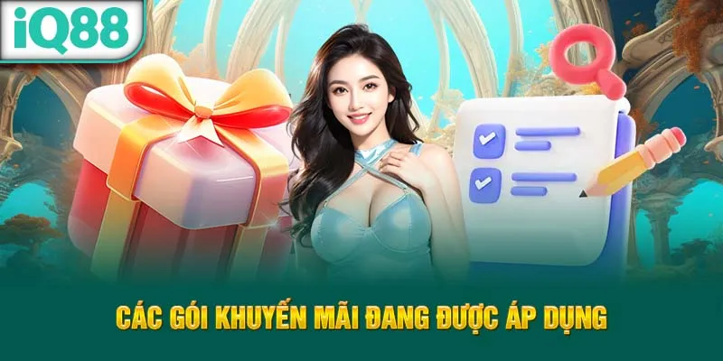 cac-goi-khuyen-mai-dang-duoc-ap-dung_8_11zon
