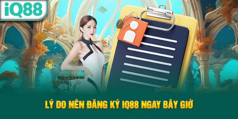 ly-do-nen-dang-ky-iq88-ngay-bay-gio_34_11zon