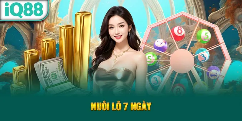 nuoi-lo-7-ngay_37_11zon